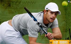 Andy Roddick